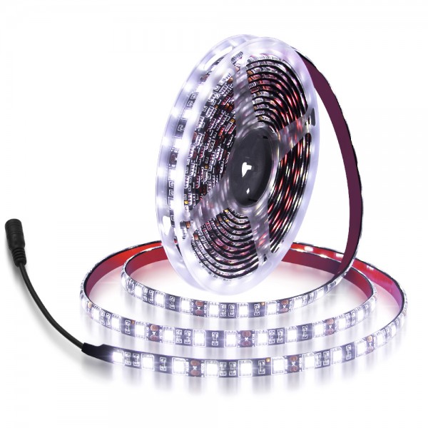 16.4ft 5050 SMD Black PCB Cool White LED Flexible Strip Ribbon Light 5M 300 LEDs Waterproof IP65 DC 12V for Home Garden Commercial Area Lighting