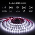 16.4ft 5050 SMD Black PCB Cool White LED Flexible Strip Ribbon Light 5M 300 LEDs Waterproof IP65 DC 12V for Home Garden Commercial Area Lighting