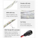 LED Strip Lights Waterproof Daylight 24V DC 32.8ft 1200 LEDs 2835 SMD Cool White 6000K Outdoor LED Flexible Ribbon for Kitchen Garden Under-cabinet Backyard Hallways Stairs Decoration Lighting