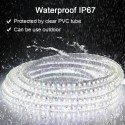 LED Strip Lights Waterproof Daylight 24V DC 32.8ft 1200 LEDs 2835 SMD Cool White 6000K Outdoor LED Flexible Ribbon for Kitchen Garden Under-cabinet Backyard Hallways Stairs Decoration Lighting