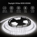 32.8ft LED Strip Lights Daylight White Waterproof IP67 6000K 24V DC 10m 600 LEDs 5050 SMD Outdoor LED Tape for Kitchen Bedroom Garden Backyard Hallway Stair Under-cabinet Closet Decor Lighting