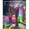 Snowflake String Lights Color Changing Christmas Lights Indoor Outdoor Use APP Control 56ft 100 LEDs Dream Color Rainbow LED Fairy Lights Waterproof IP68 for Patio Garden Party Holiday Décor