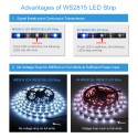 WS2815 12V WS2812B Addressable RGB LED Strip Light 5m 150 LEDs WS2813 12V Programmable Dream Color LED Pixel Light Strip Signal Break-Point Continuous Transmission Waterproof IP65 Black PCB
